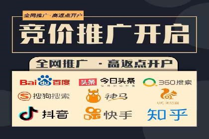 百度竞价与搜索引擎优化（SEO）结合的经典案例